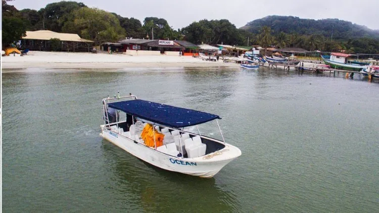 Baía dos Golfinhos