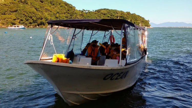 Baía dos Golfinhos