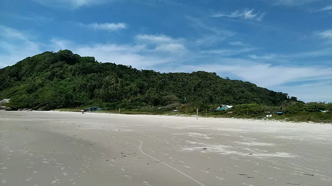 Paisagem - Praia Grande - Ilha do Mel - Pr