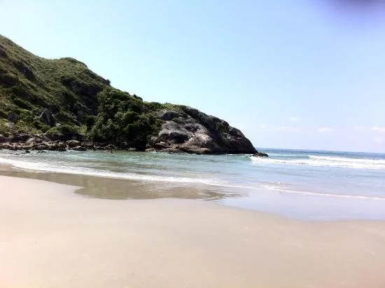 Rocha - Praia Grande - Ilha do Mel - Pr
