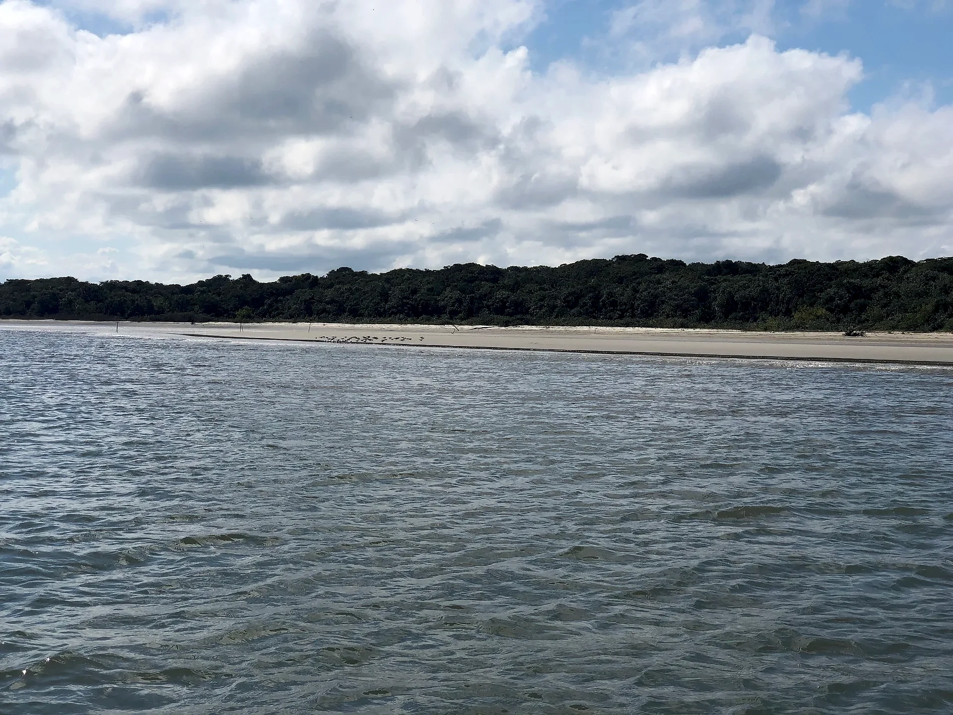 Praia de areia clara margeada por mata densa, vista a partir da água, com aves reunidas na faixa de areia. O céu parcialmente nublado cria luz suave e contrastes discretos sobre o mar.