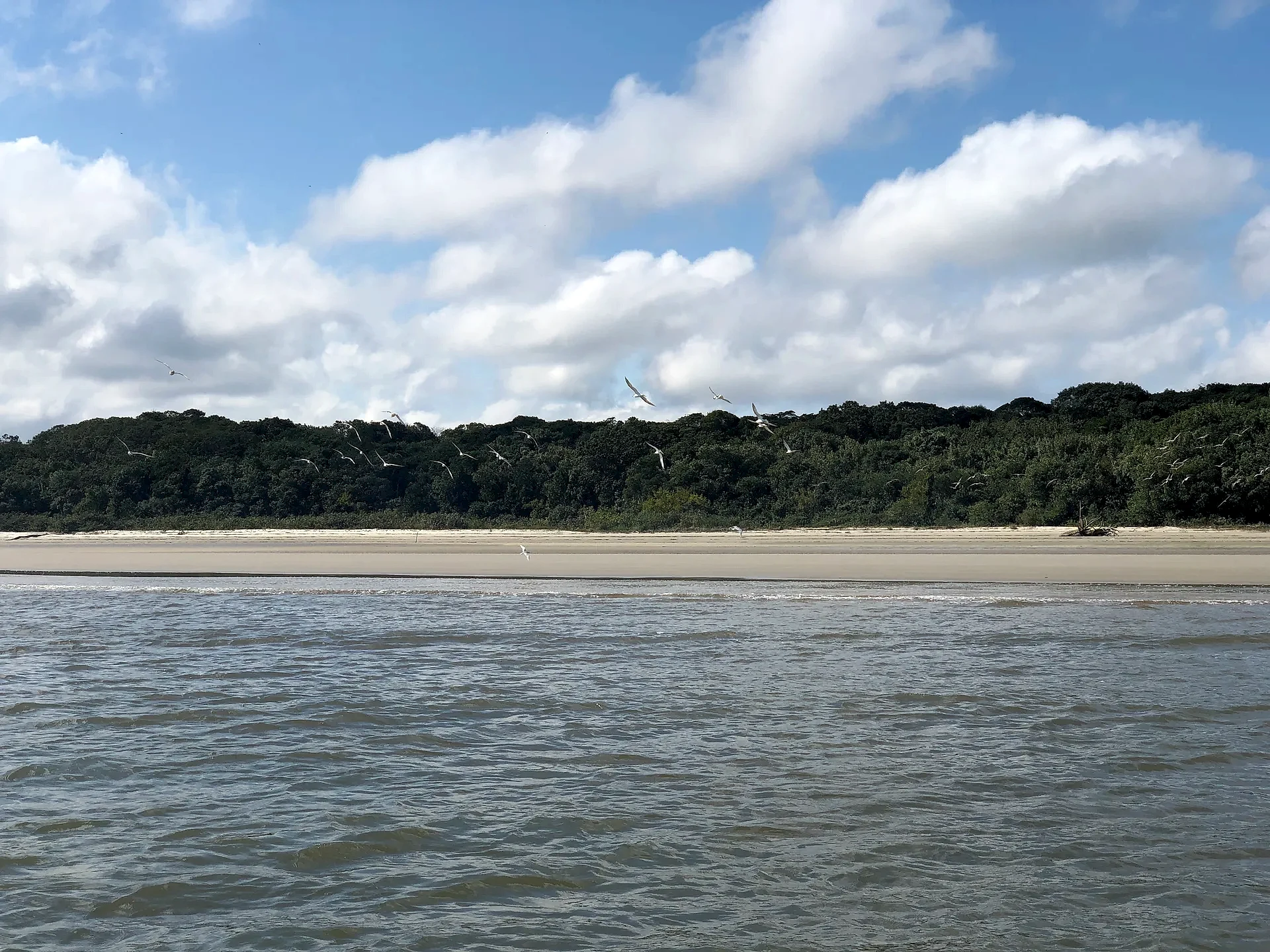 Praia de areia clara diante de mata densa, vista a partir da água, com aves sobrevoando a faixa costeira. O ambiente é tranquilo, sob luz diurna suave e céu azul com nuvens dispersas.