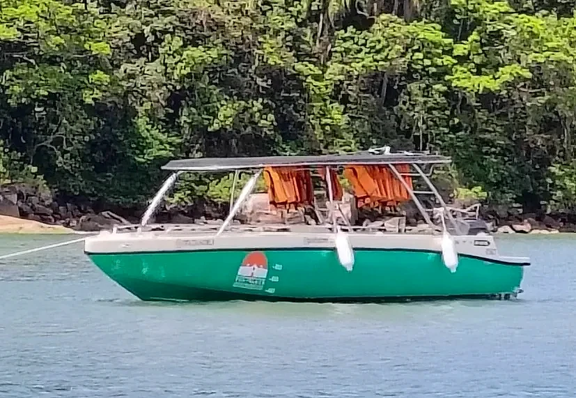 Barco de passeio verde navega em águas calmas diante de uma faixa de mata densa na Ilha do Mel. A luz natural diurna destaca o casco, as cadeiras alaranjadas e o verde da vegetação ao fundo.