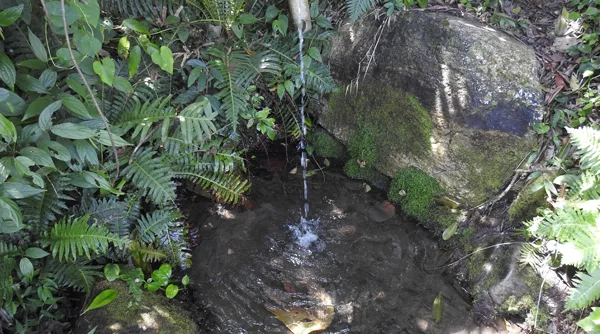 bica de água doce Praia da Bica de Norinho
