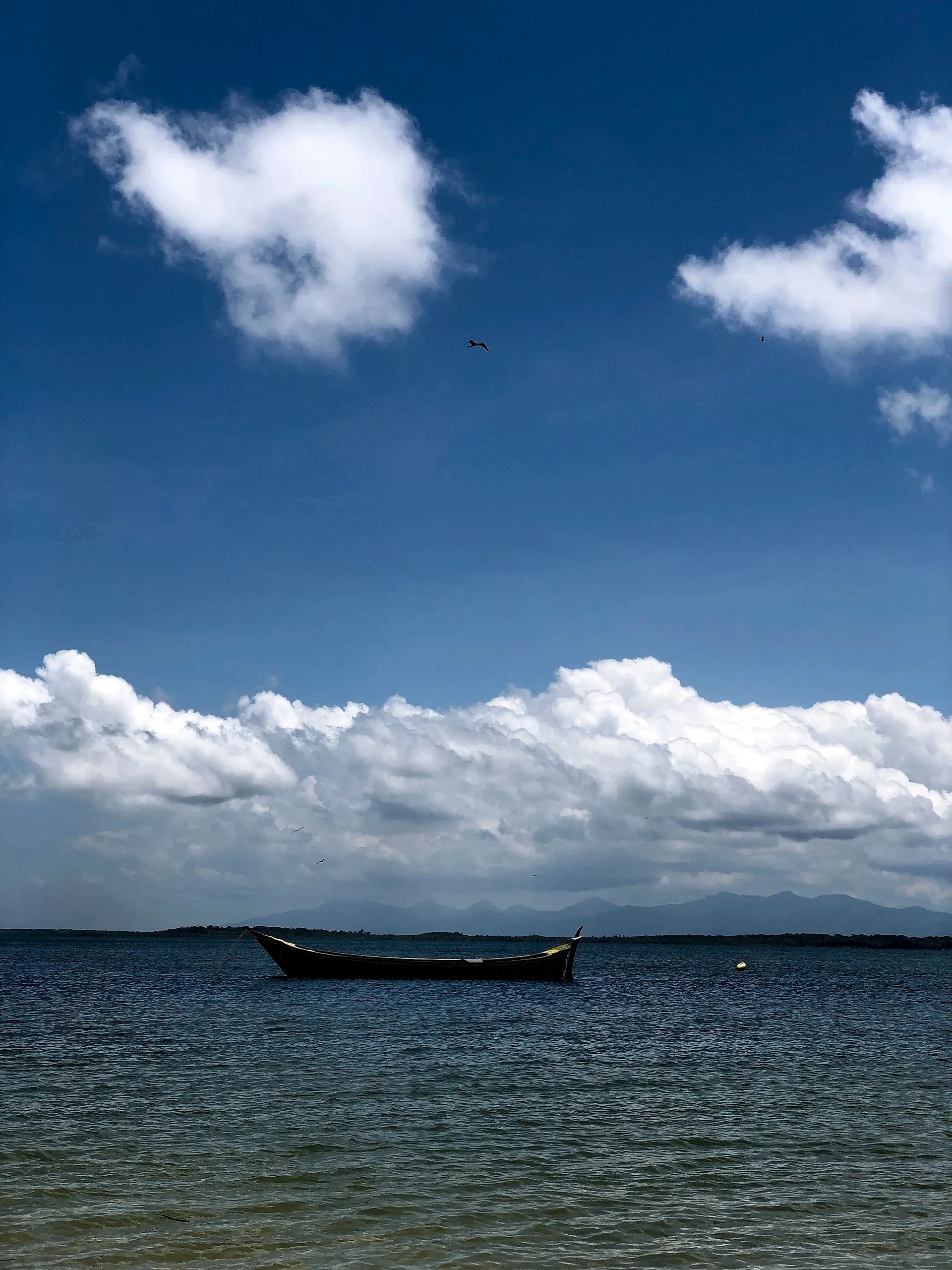 Barco estreito navega em águas calmas, sob céu azul com grandes nuvens brancas e aves em voo. A luz diurna destaca o mar e a paisagem de morros ao fundo.