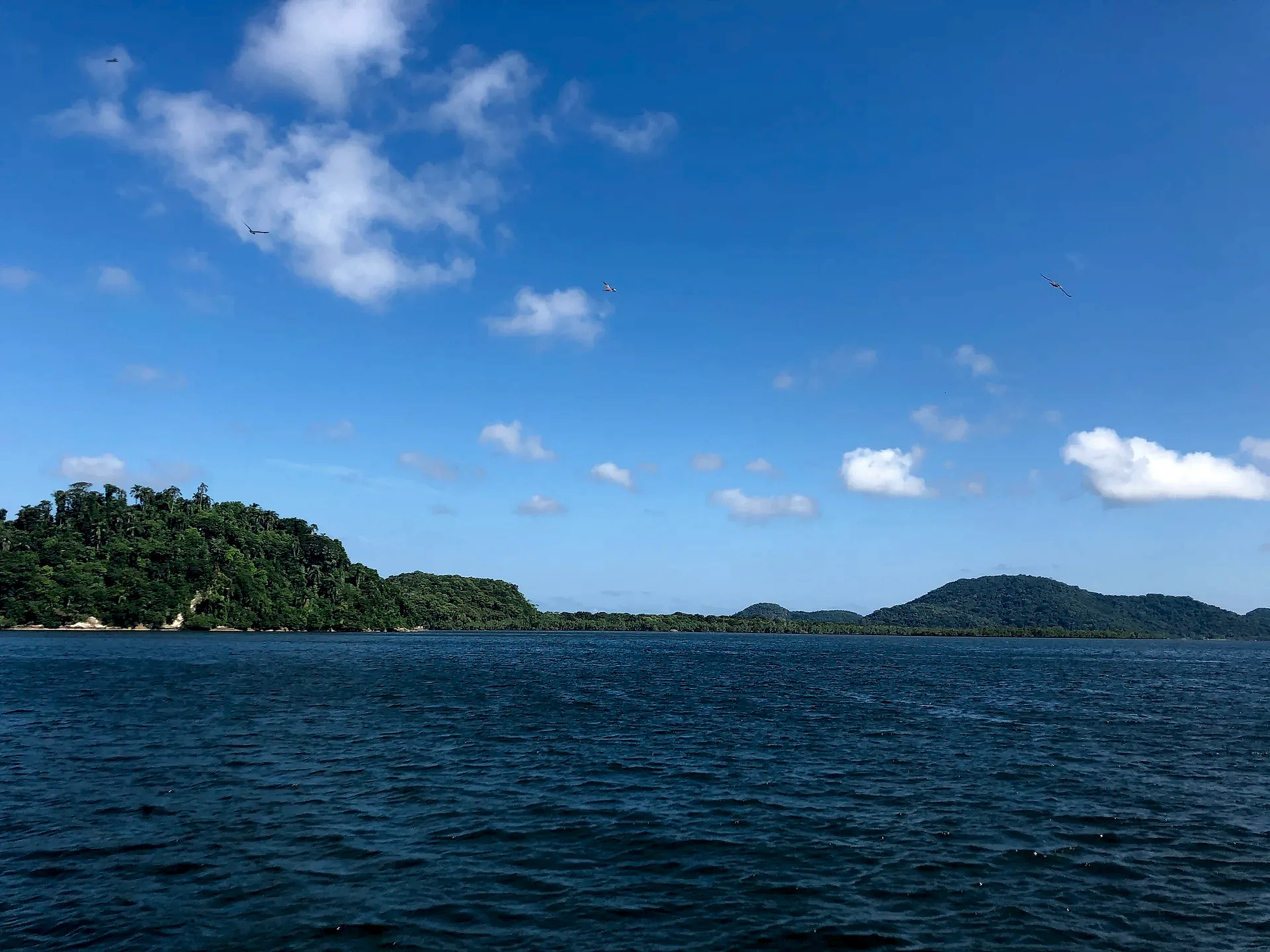 Vista do mar com mata atlântica e morros verdes ao fundo, sob céu azul com nuvens esparsas e aves em voo. A luz clara do dia realça os tons profundos da água e da vegetação.
