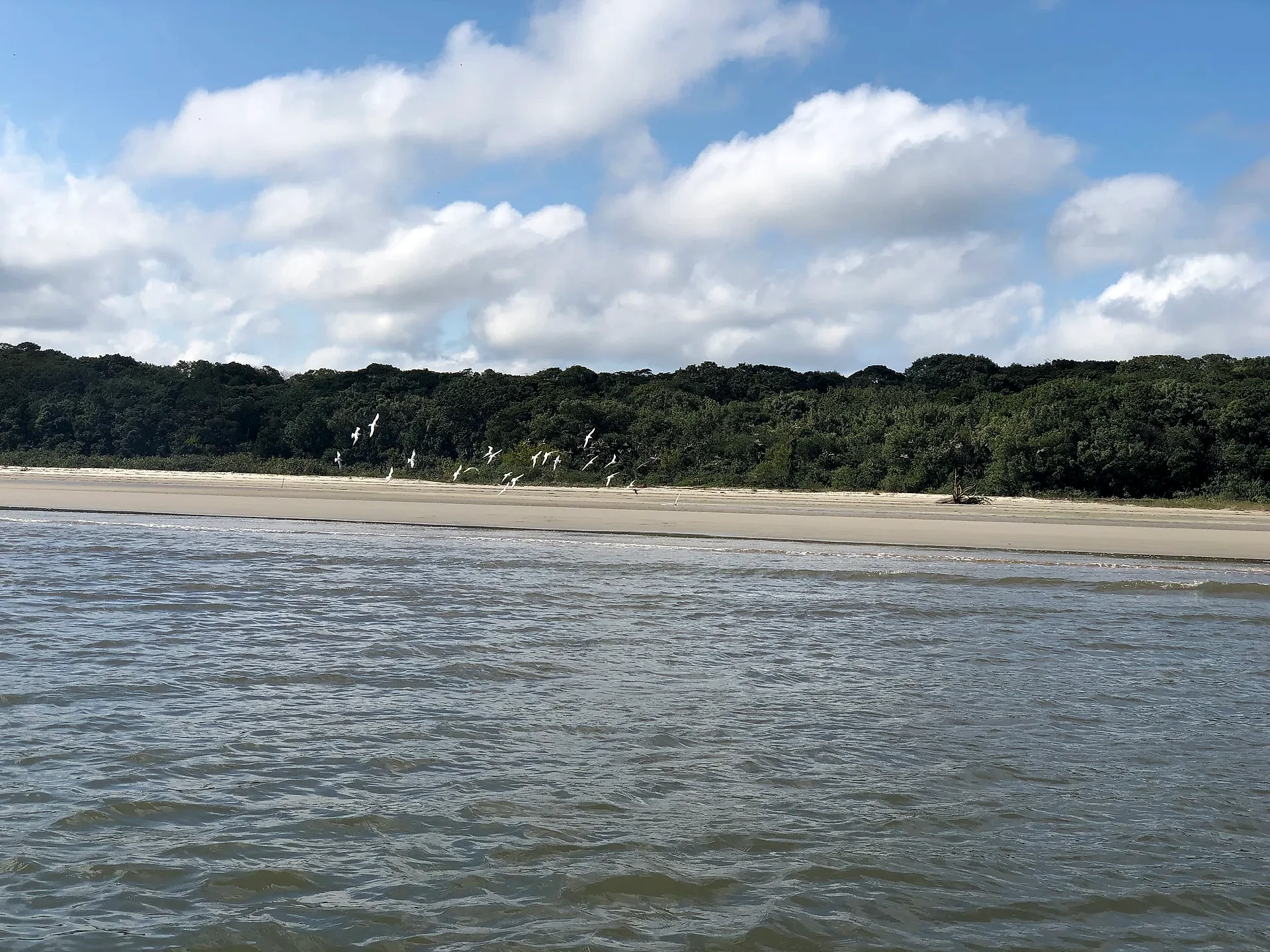 Praia de areia clara margeada por mata densa, vista a partir da água, com aves em voo sobre a faixa de areia. O céu azul com nuvens volumosas cria uma luz diurna suave sobre o ambiente costeiro.