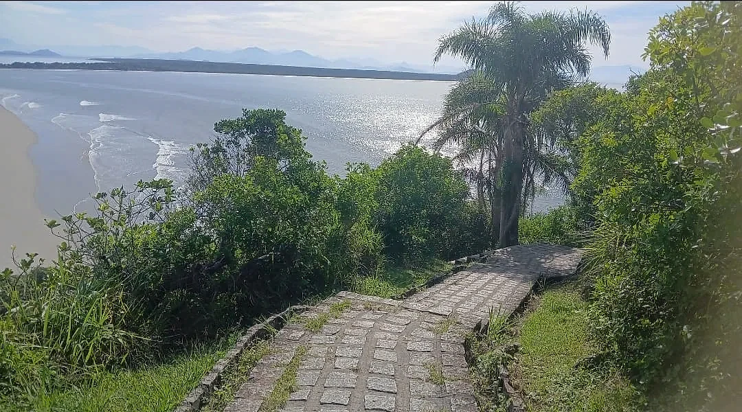 Trilha calçada desce pela mata costeira, com palmeiras e vegetação abundante em primeiro plano. Ao fundo, a praia e o mar refletem a luz suave do dia, com montanhas no horizonte.