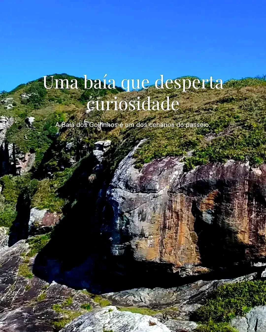 Costão rochoso coberto por vegetação nativa, sob céu azul intenso. A luz diurna realça as texturas das pedras e os tons verdes da mata.